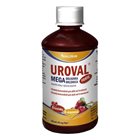 UROVAL Megabrusinka FORTE sirup