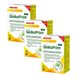 Walmark GinkoPrim MAX 3PACK – Výhodné půlroční balení pro paměť a soustředění