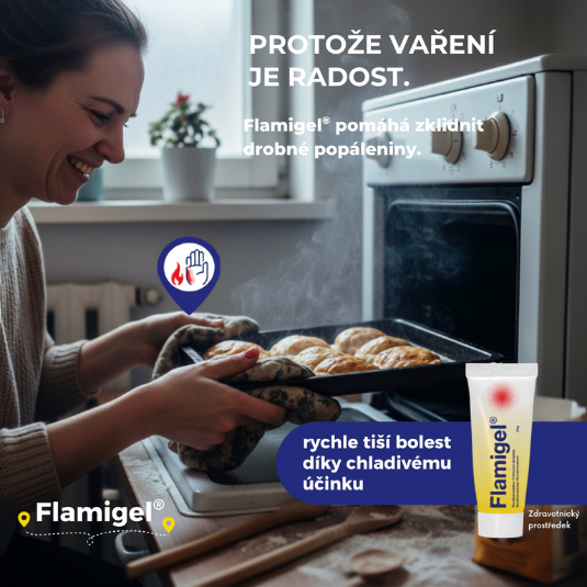 Flamigel_3.png