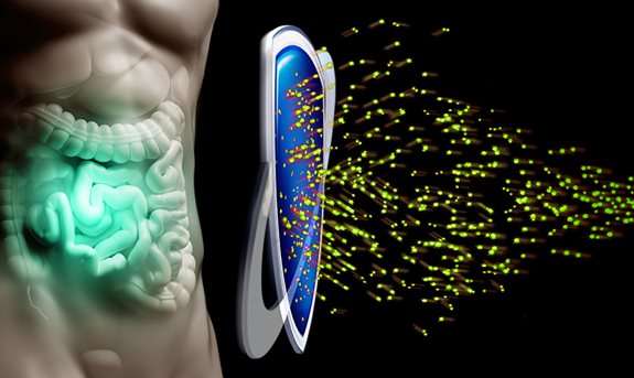Střeva jsou víc, než se zdá