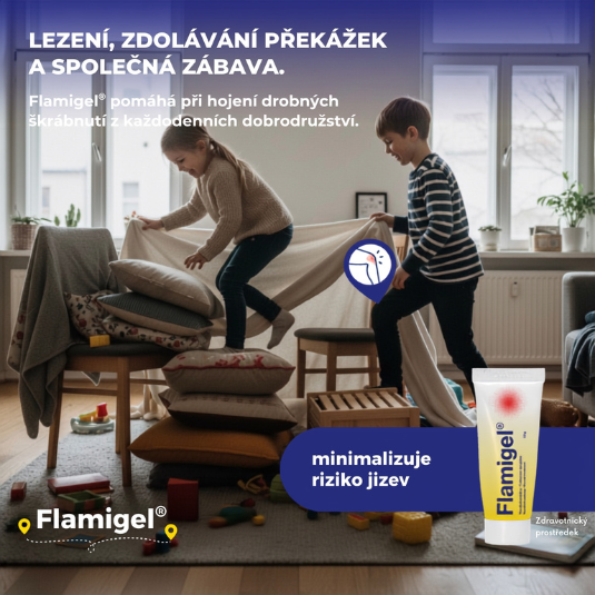 Flamigel_4.png