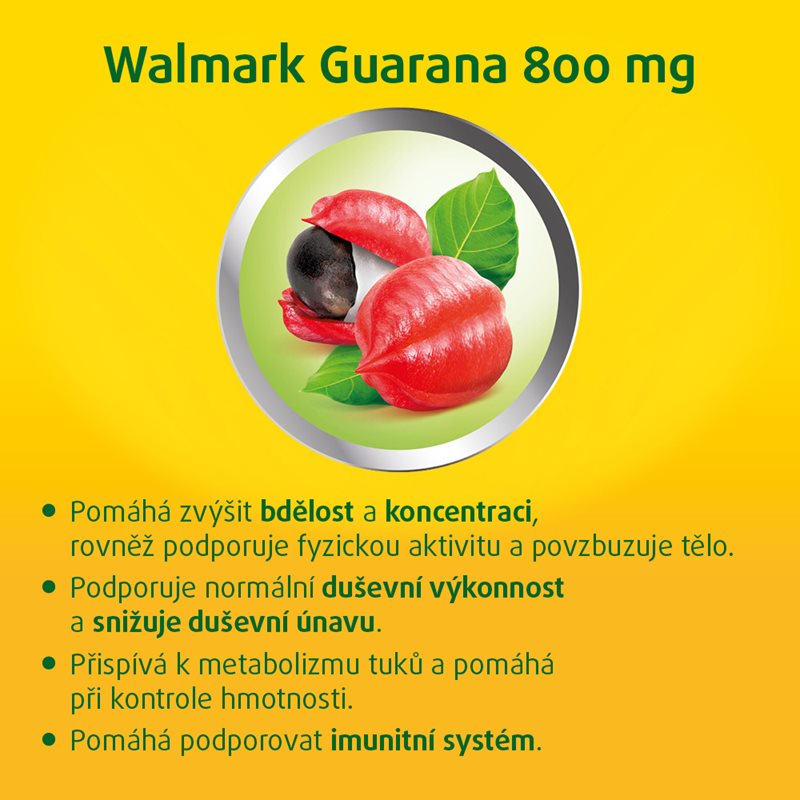 Guarana-800mg-tbl-90_3779247_image_01.jpg