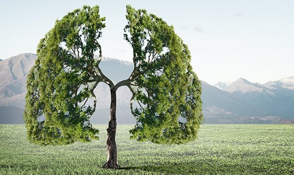 Potíže s plícemi aneb když duše volá o pomoc