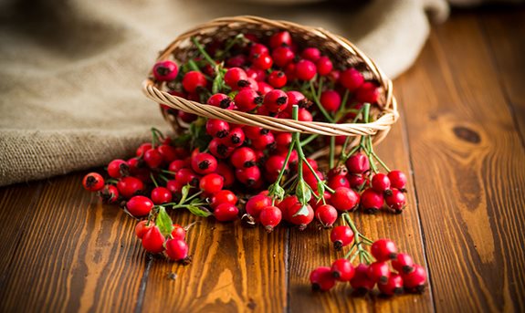 Šípková sezóna se blíží! Máme pro vás ty nejlepší šípkové recepty!