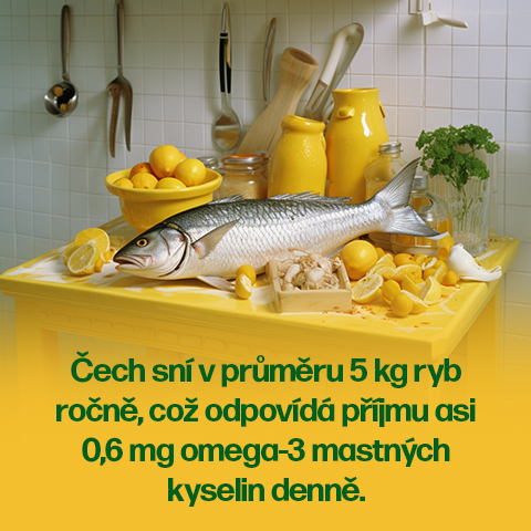 Omega_3_Sekundarni-2-480x480-(2).jpg