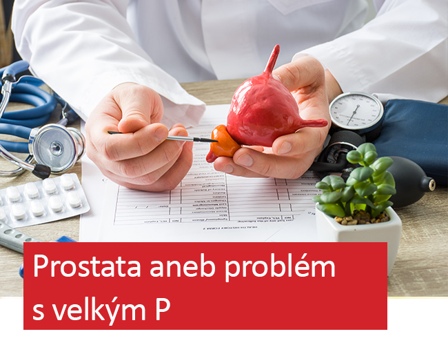 👨 Vše o prostatě a navíc 20% sleva na Prostenal CONTROL